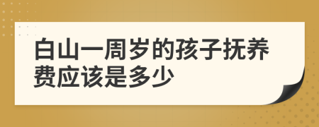 白山一周岁的孩子抚养费应该是多少