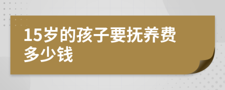 15岁的孩子要抚养费多少钱