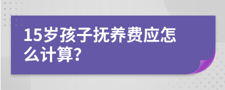 15岁孩子抚养费应怎么计算？