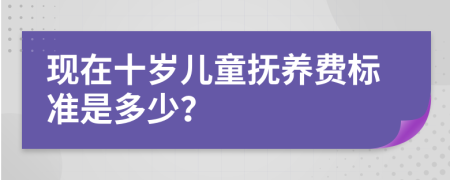 现在十岁儿童抚养费标准是多少？