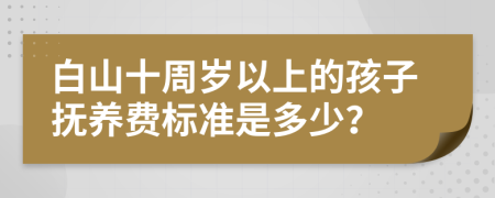 白山十周岁以上的孩子抚养费标准是多少？