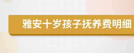 雅安十岁孩子抚养费明细