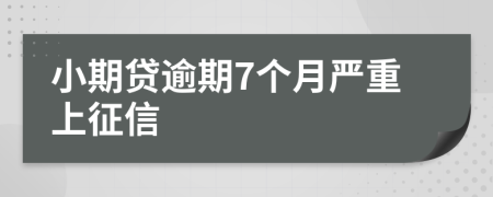 小期贷逾期7个月严重上征信