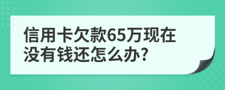 信用卡欠款65万现在没有钱还怎么办?