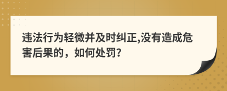 违法行为轻微并及时纠正,没有造成危害后果的，如何处罚？