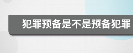 犯罪预备是不是预备犯罪