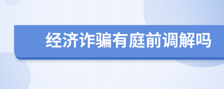 经济诈骗有庭前调解吗