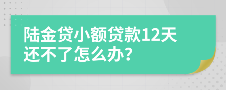 陆金贷小额贷款12天还不了怎么办？