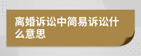 离婚诉讼中简易诉讼什么意思