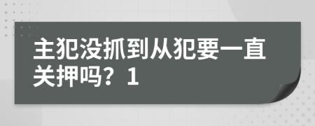 主犯没抓到从犯要一直关押吗？1