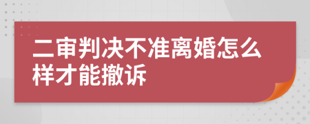 二审判决不准离婚怎么样才能撤诉