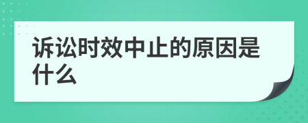 诉讼时效中止的原因是什么