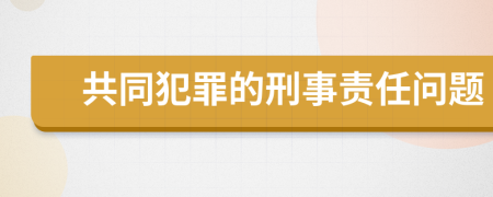 共同犯罪的刑事责任问题