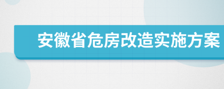 安徽省危房改造实施方案