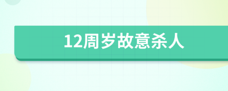 12周岁故意杀人