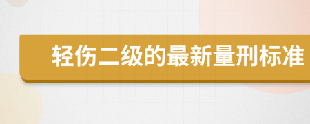 轻伤二级的最新量刑标准