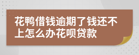 花鸭借钱逾期了钱还不上怎么办花呗贷款