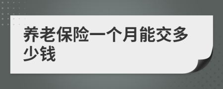 养老保险一个月能交多少钱