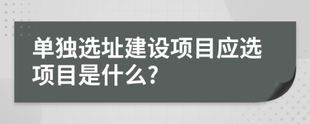 单独选址建设项目应选项目是什么?
