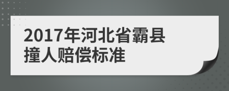 2017年河北省霸县撞人赔偿标准