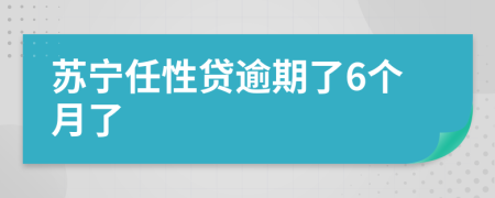 苏宁任性贷逾期了6个月了