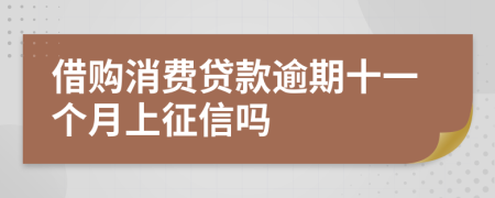 借购消费贷款逾期十一个月上征信吗