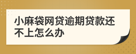 小麻袋网贷逾期贷款还不上怎么办