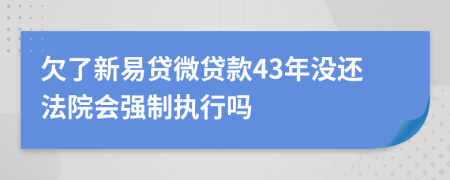 欠了新易贷微贷款43年没还法院会强制执行吗