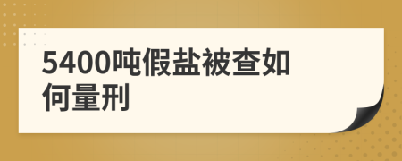 5400吨假盐被查如何量刑