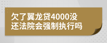 欠了翼龙贷4000没还法院会强制执行吗