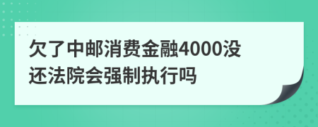 欠了中邮消费金融4000没还法院会强制执行吗