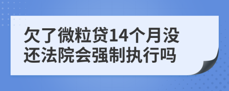 欠了微粒贷14个月没还法院会强制执行吗