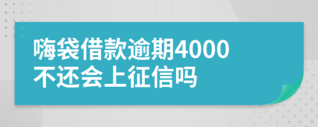 嗨袋借款逾期4000不还会上征信吗