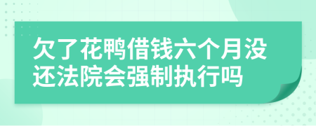 欠了花鸭借钱六个月没还法院会强制执行吗