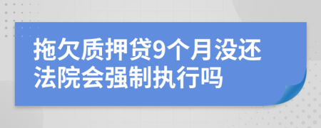 拖欠质押贷9个月没还法院会强制执行吗