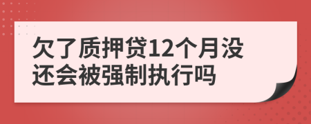 欠了质押贷12个月没还会被强制执行吗