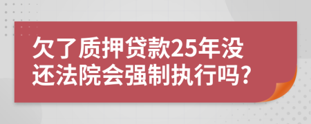 欠了质押贷款25年没还法院会强制执行吗?