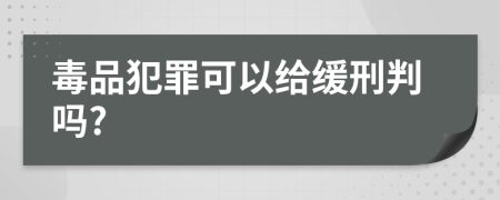 毒品犯罪可以给缓刑判吗?