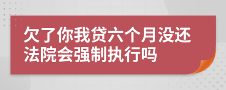 欠了你我贷六个月没还法院会强制执行吗