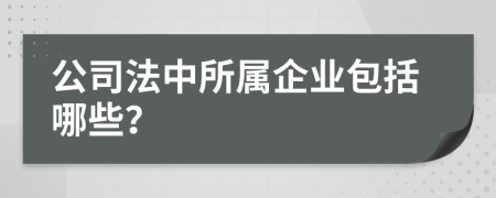 公司法中所属企业包括哪些？