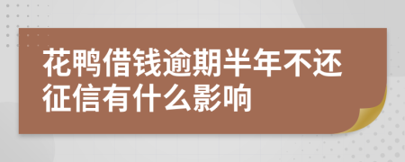 花鸭借钱逾期半年不还征信有什么影响