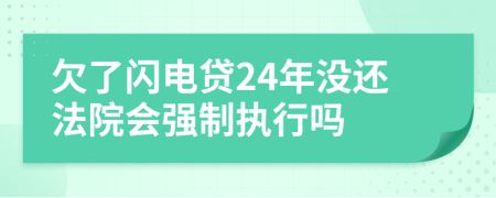 欠了闪电贷24年没还法院会强制执行吗