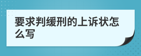 要求判缓刑的上诉状怎么写