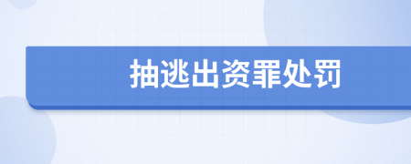 抽逃出资罪处罚