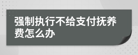 强制执行不给支付抚养费怎么办