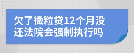 欠了微粒贷12个月没还法院会强制执行吗