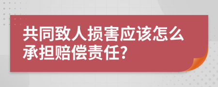 共同致人损害应该怎么承担赔偿责任?