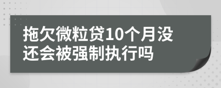 拖欠微粒贷10个月没还会被强制执行吗