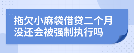 拖欠小麻袋借贷二个月没还会被强制执行吗