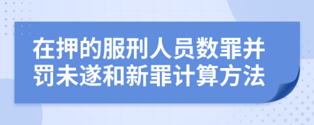 在押的服刑人员数罪并罚未遂和新罪计算方法